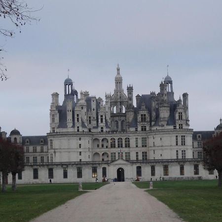 Gite Le Cerf Solognot Proche Chateau Chambord, Lamotte Beuvron Neung-sur-Beuvron エクステリア 写真