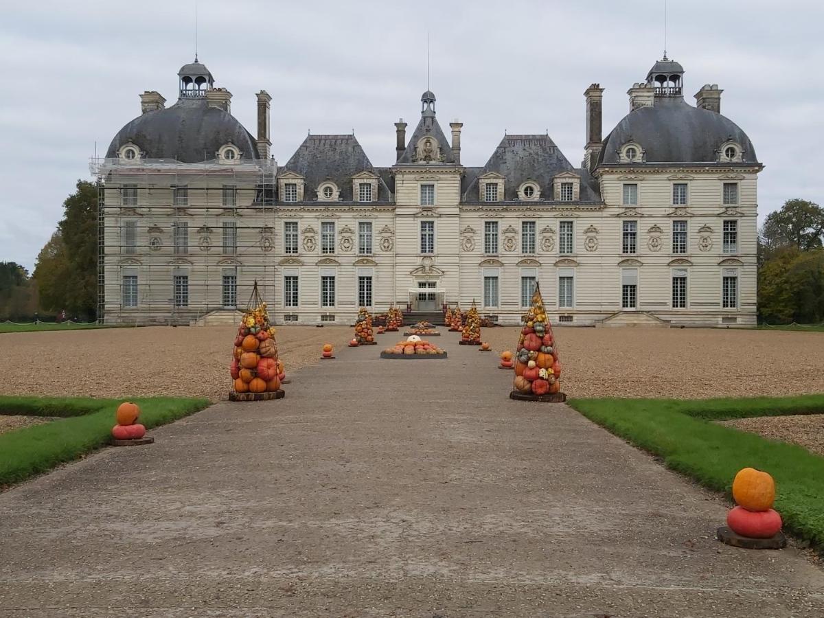 Gite Le Cerf Solognot Proche Chateau Chambord, Lamotte Beuvron Neung-sur-Beuvron エクステリア 写真